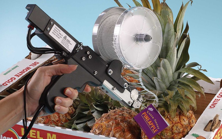 System 1000 Tagging a Pineapple